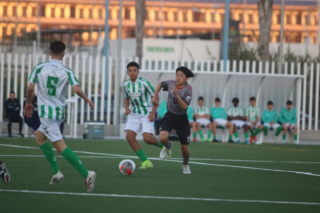 PSTCロンドリーナ・スペイン遠征2025 | Proneo Japan